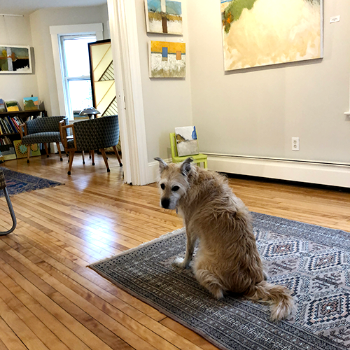 Lucy, the mascot, welcomes you to visit the Tim Beavis Studio.
